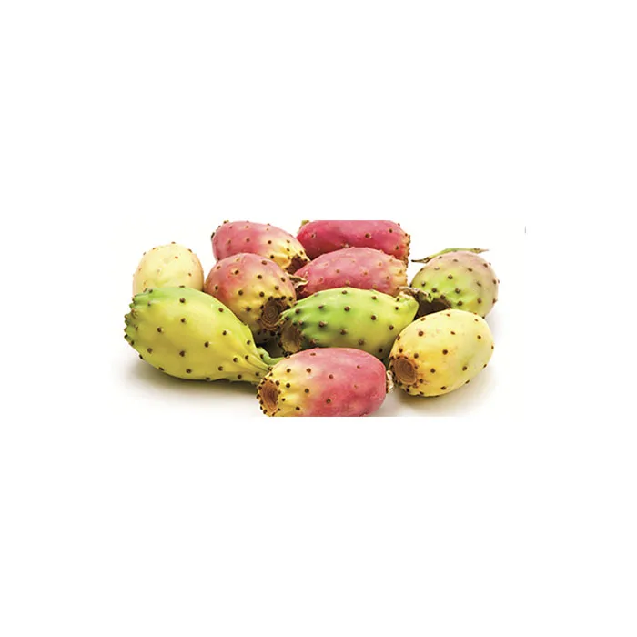 
Wholesale tropical fresh fruits vegetables barbary fig tasty cactus fruit 