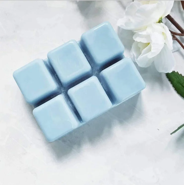 
Custom Wax Melt Clamshells Molds Clear Empty Plastic Cube Tray for Wickless Wax Tarts Candles 