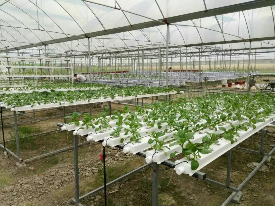 100x50mm Food-grade Indoor hydroponics growing system NFT channel