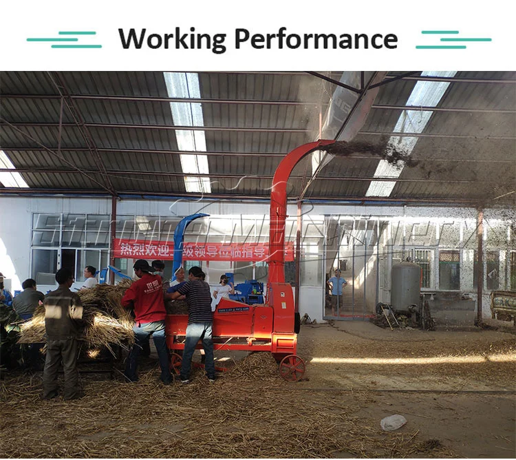 Agricultural Electric Gasoline Engine Fodder Silage Grinder Animal Feed Making Grass Straw Cutting Rice Machine Poultry Process