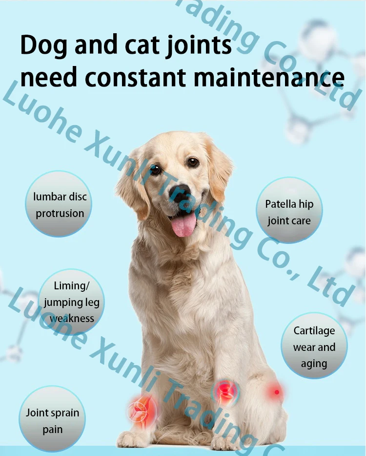 Natural dietary supplement sulphate chondroitin sulfate  capsules  chondroitin For the health of pets