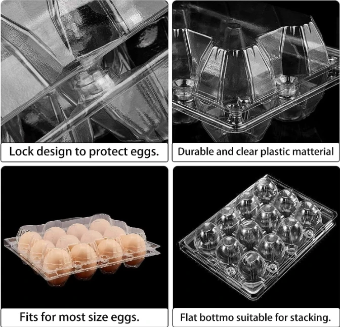 Plastic Egg Cartons Cheap Bulk 1 Dozen Clear Empty Egg Cartons for Chicken Eggs