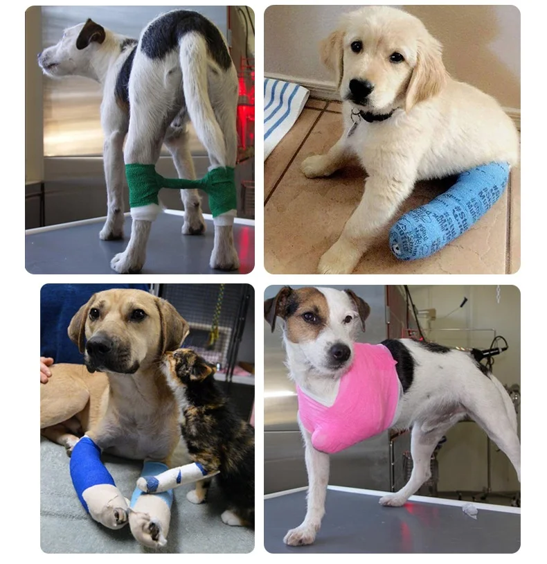 Custom Veterinary Care Pet Sports Wrist Healing Ankle Sprains and Swelling Viscoelastic Bandage Horse 10cm