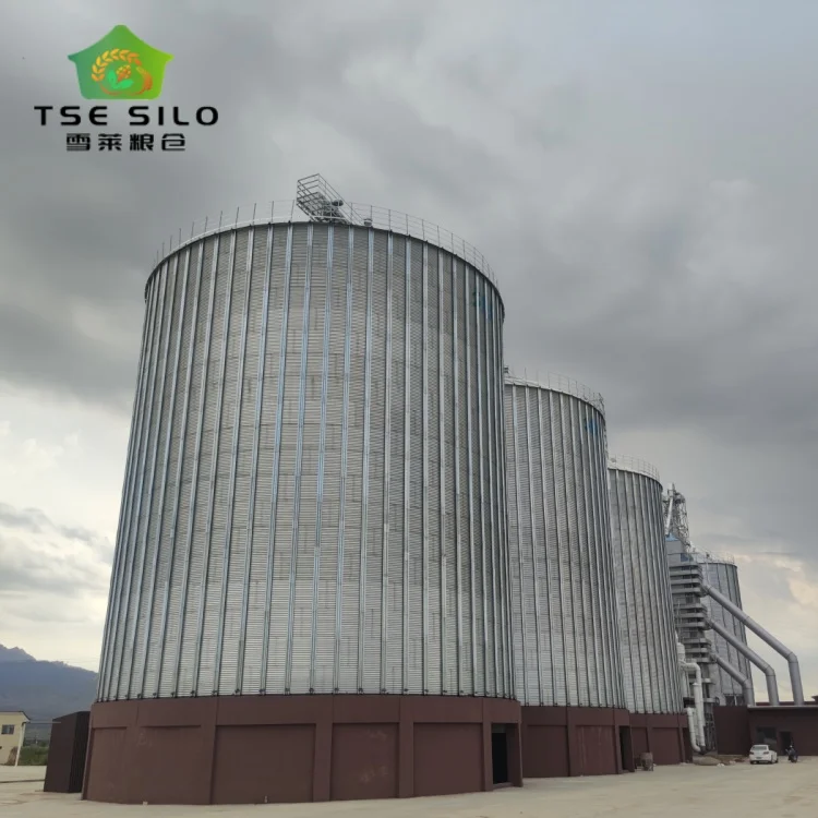 Soybean wheat paddy flat bottom  grain silo for farms