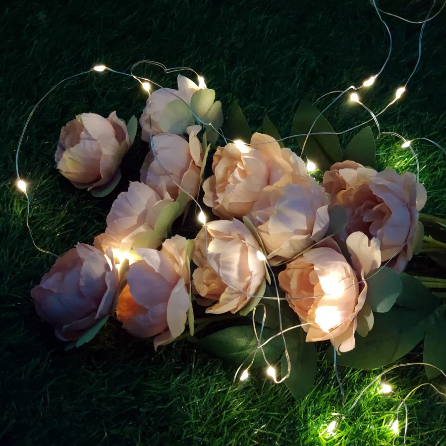  Wedding party Christmas lights decoration 2M20LED warm white fairy light string