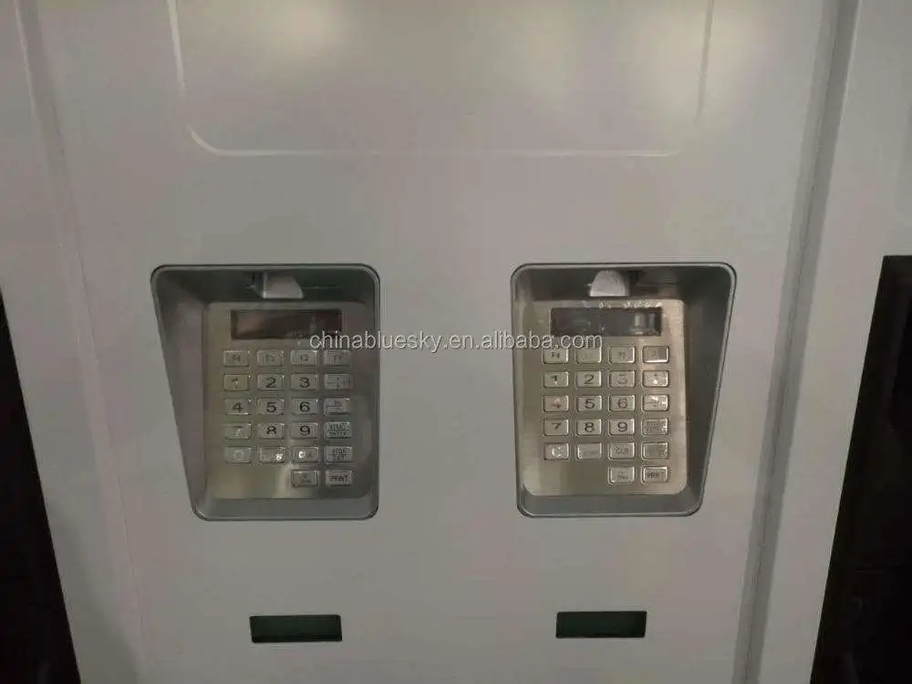 Bluesky hot sale fuel dispenser pump petrol gas station mobile petrol pump fuel dispenser