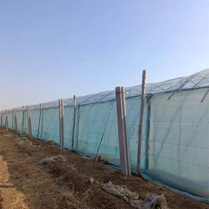 100% new HDPE vegetable insect net white spot duck insect net greenhouse insect net