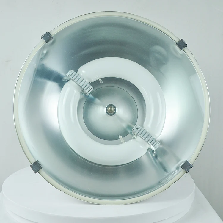 Long life span high efficiency  40W-500W  magnetic Induction lamp and ballast