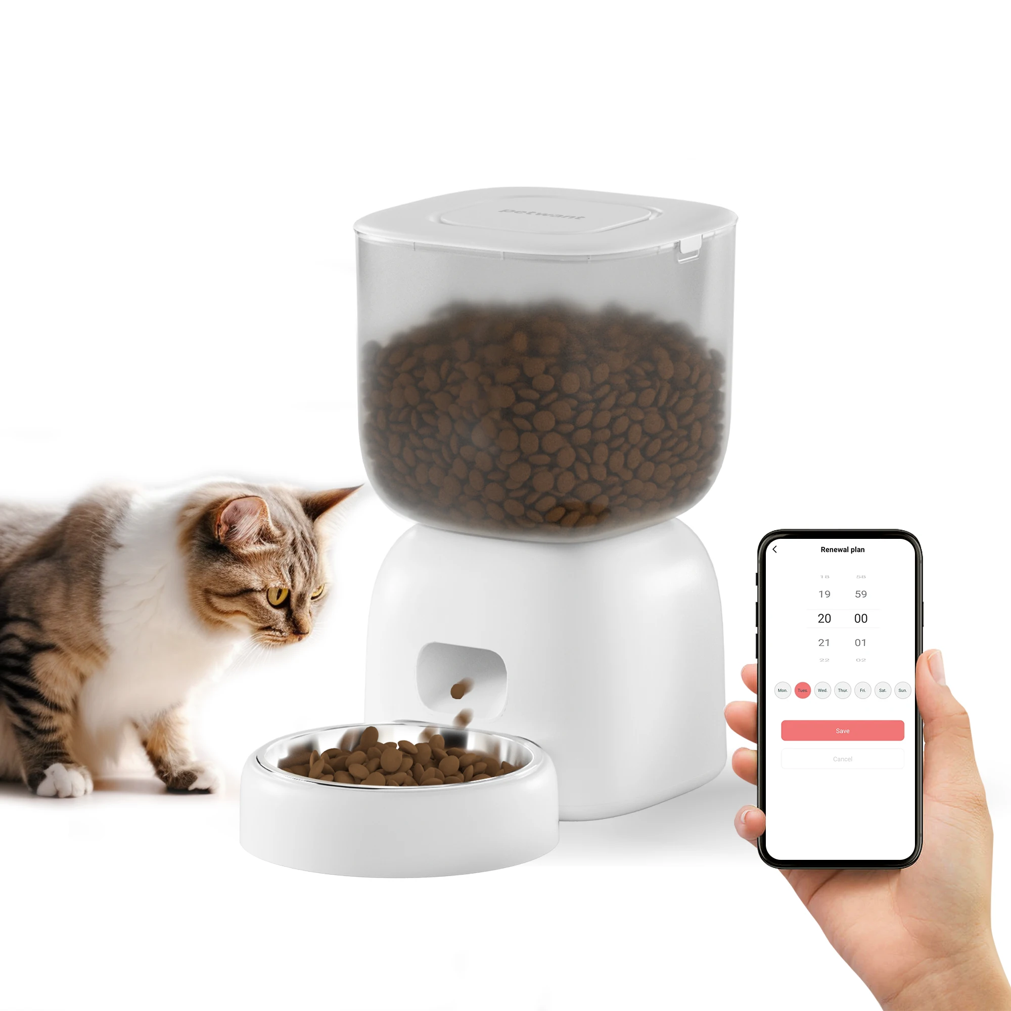 DRH Low Price Wholesale 3L Stainless Steel Pet Bowl Pet Cat Dog Wifi Automatic Smart Pet Feeder