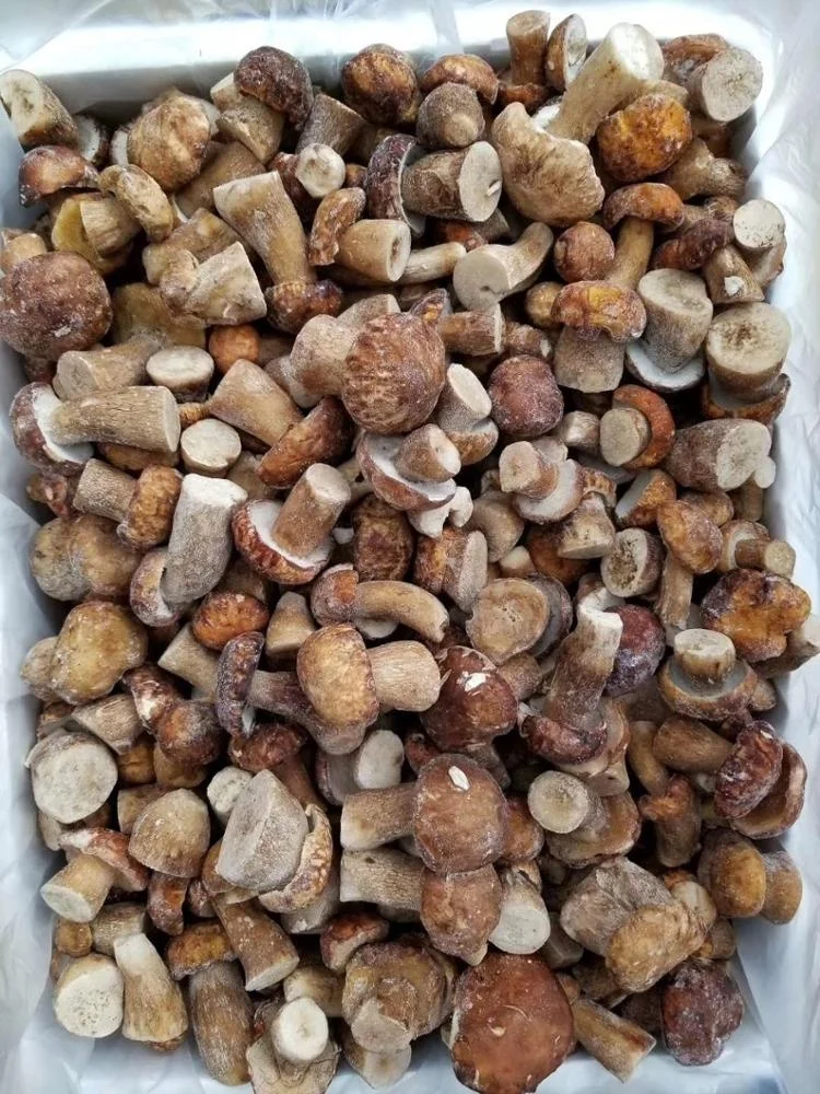 Factory Price Premium Quality Bulk Frozen Boletus Edulis Whole 2-4CM