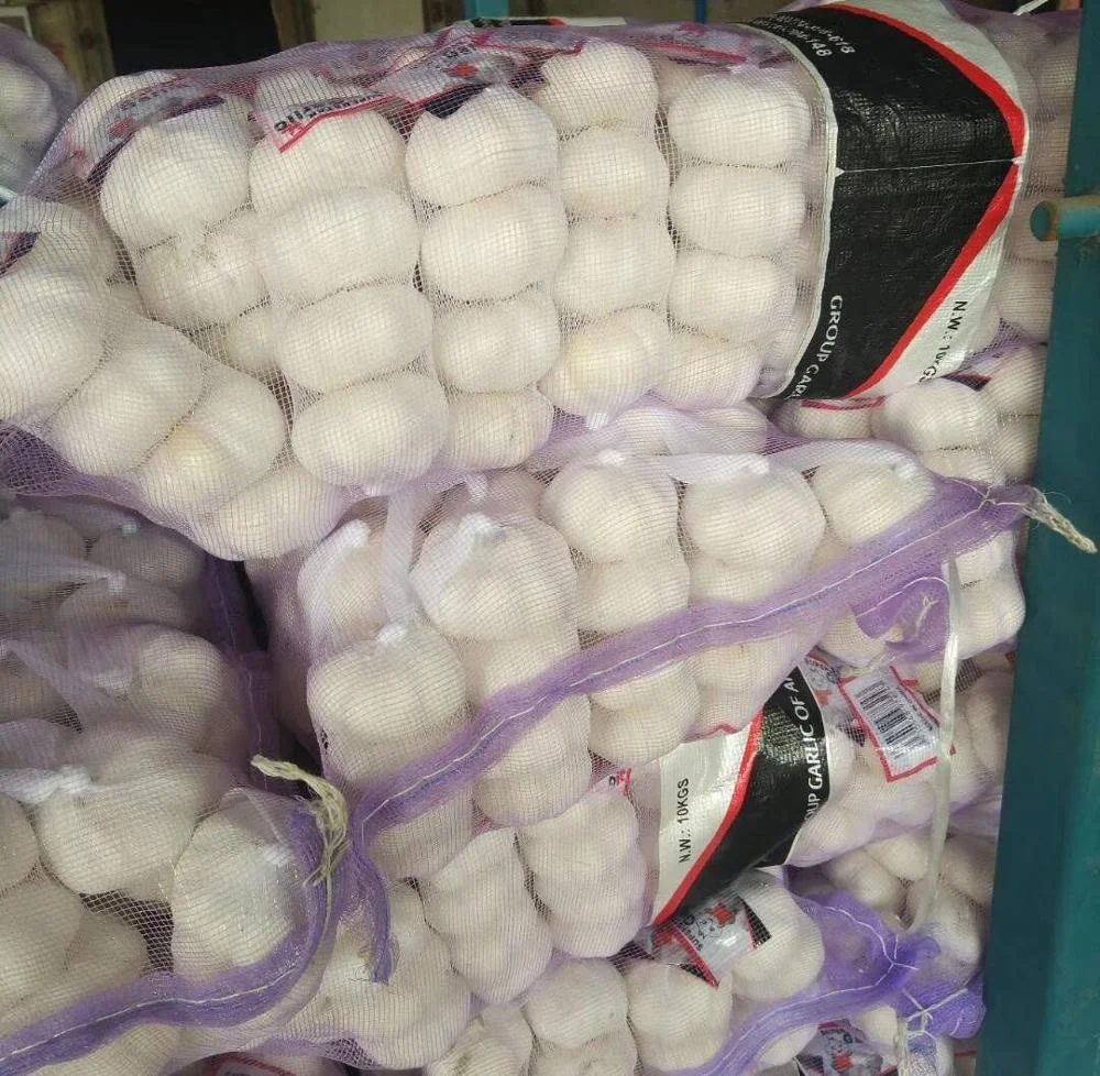 5.5 cm factory pure white fresh garlic price  2023 new fresh garlic from China white garlic