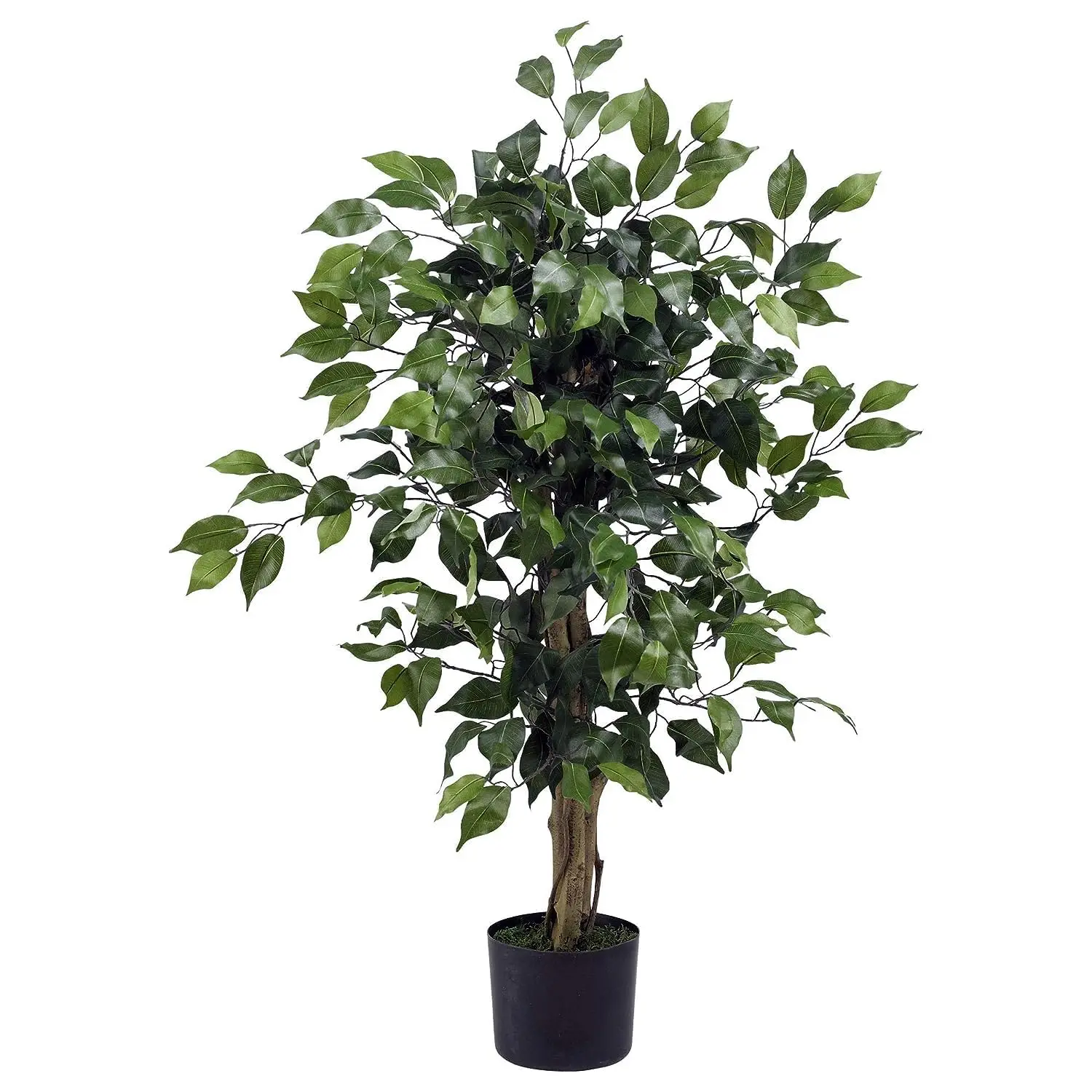 Nearly Natural Ficus Artificial Tree with Curved Trunk, 5-Feet 6 feet, Green