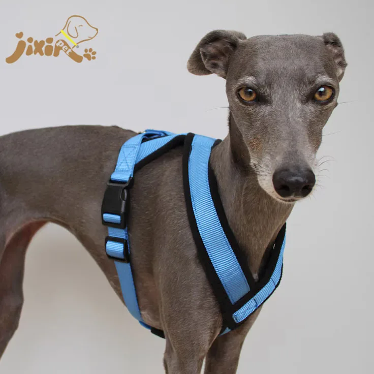 2024 Jixin Pet Nylon Belt Fleece Padding No Pull Custom Color Pet Dog Harness