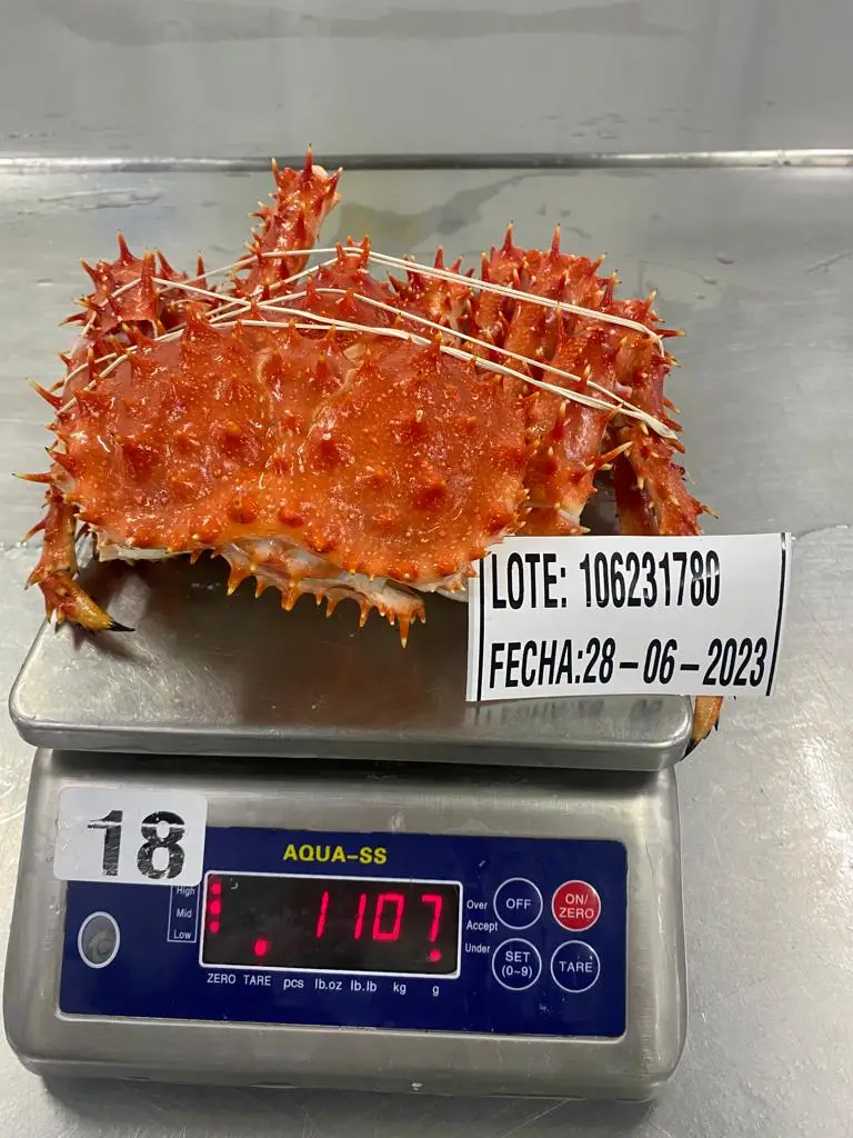 Frozen Boild King Crab Chile Origin New season