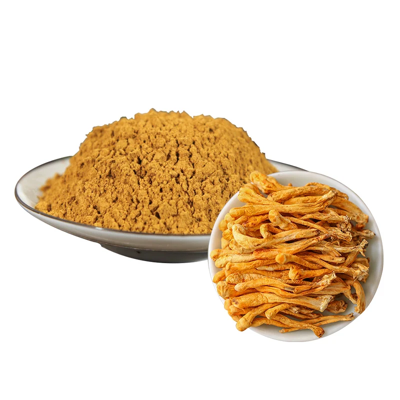 Wholesale Price Organic Cordyceps Militaris Mushroom Fruit Body Extract Powder Cordyceps Militaris Extract