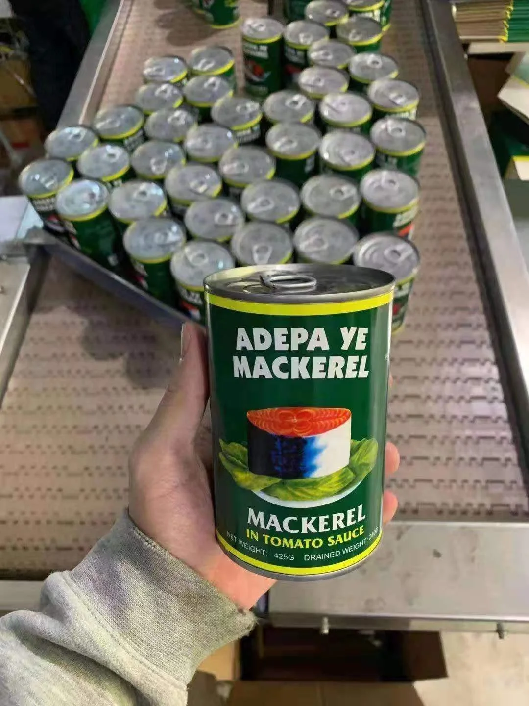 
Canned Mackerel Fish 