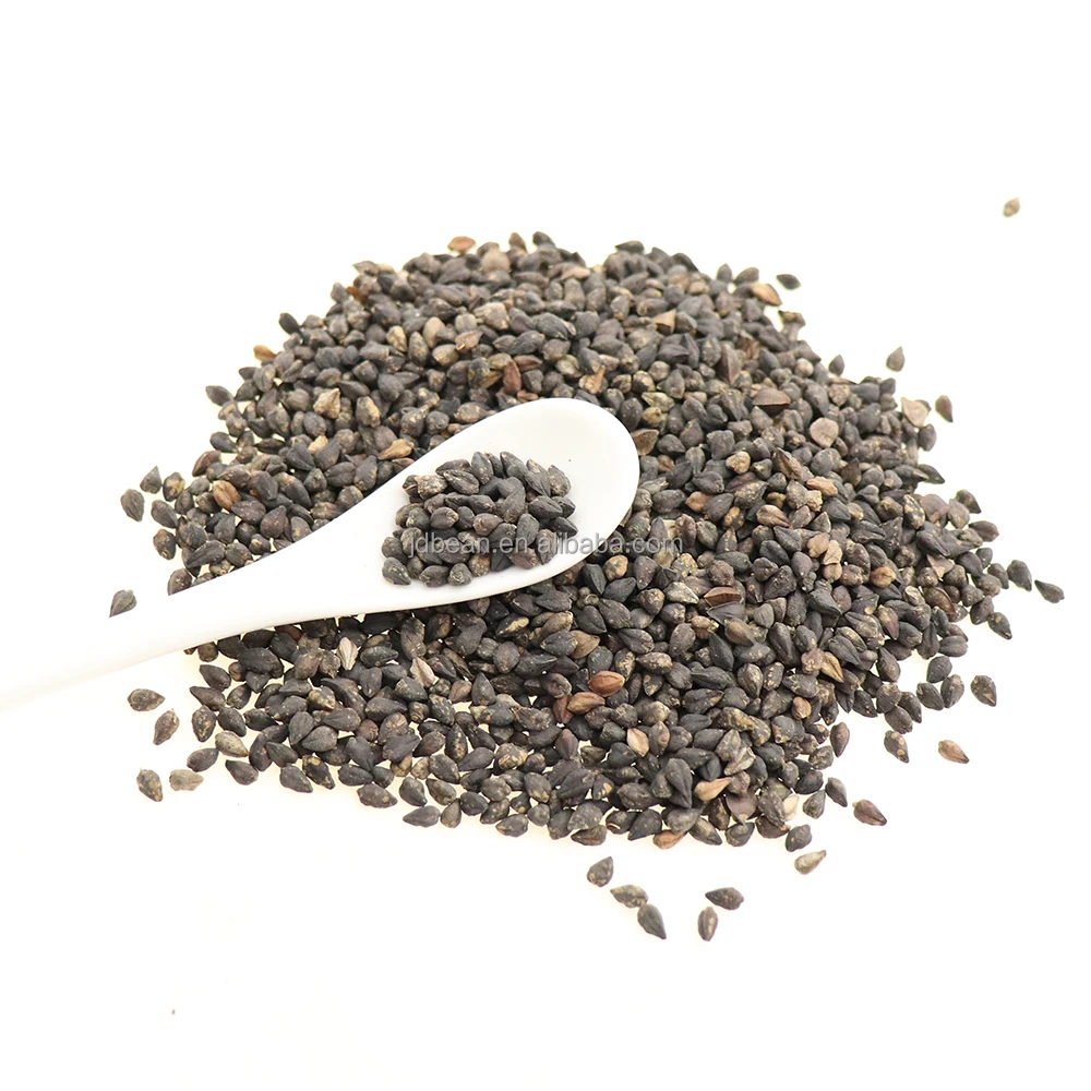 Healthy Food China Traditional Round Buckwheat Tea Tartary Buckwheat