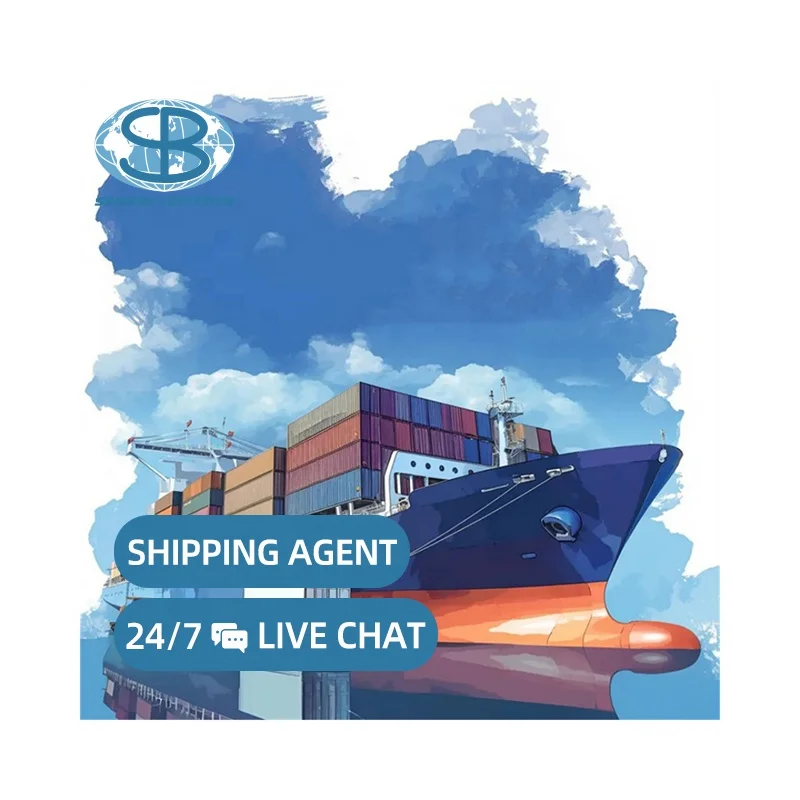 Seabay Door to Door Service DDP LCL China to Belgium Dropshipping Logistics Cheap Rates Shipping Agent Freight Forwarder