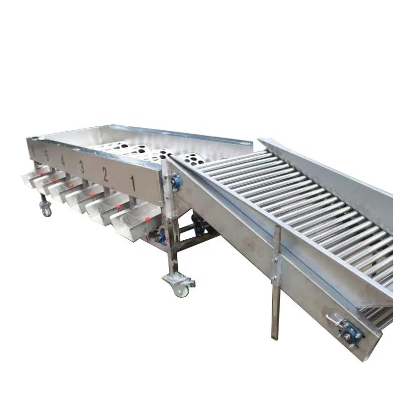 
Automatic fruits orange walnut sorting machine fruit size grading machine 