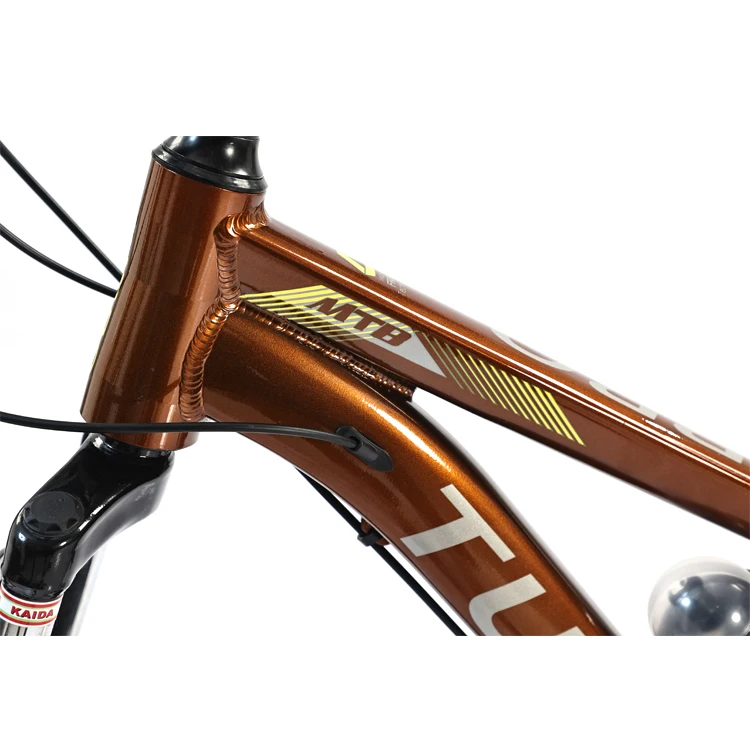 mtb bike9.jpg
