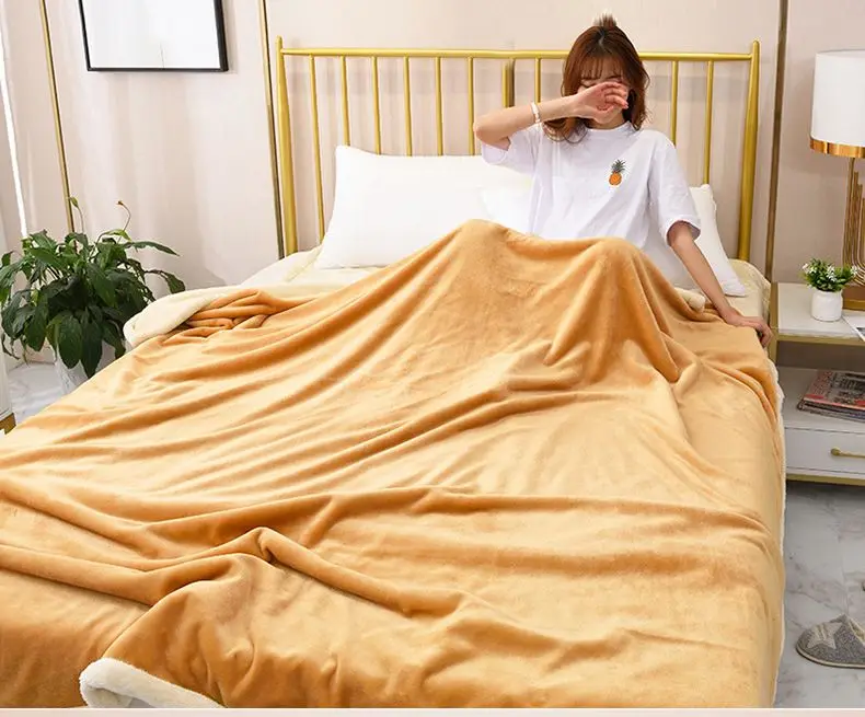 Double Layer Plush Microfiber (Warm/Cozy/Fluffy) Flannel Fleece Throw Sherpa Fleece Throw Blanket