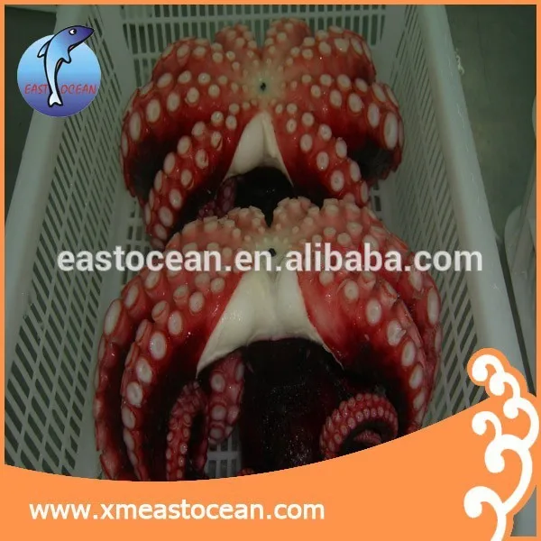 Eastocean bulk sale frozen big size frozen octopus for sale
