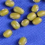 
High Grade New Corp Organic Green Mung Beans 