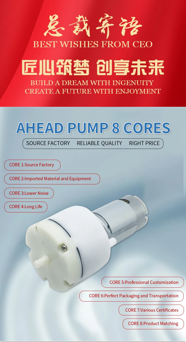 Free Noise 10LPM Vacuum Motor Gas Pump Diaphragm Structure Battery Mini Air Compressor Pumps