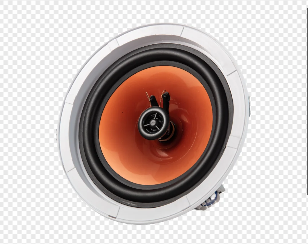 Amplifier Monoblock Full Range Cone Big Sub Woofer Outdoor 8 inch Surround Professional Passive Voice Coil Ev In- Amplifier