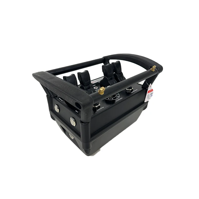 Professional remote control factory crane proportional wireless remote control