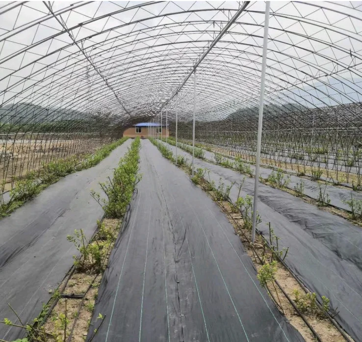 agriculture pe barrier anti  block ground cover mulch net weed control woven fabric mat