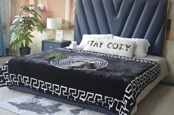 Custom King Size Raschel Printed Mink Blankets For Wrinter 1ply Raschel Polyester Blanket