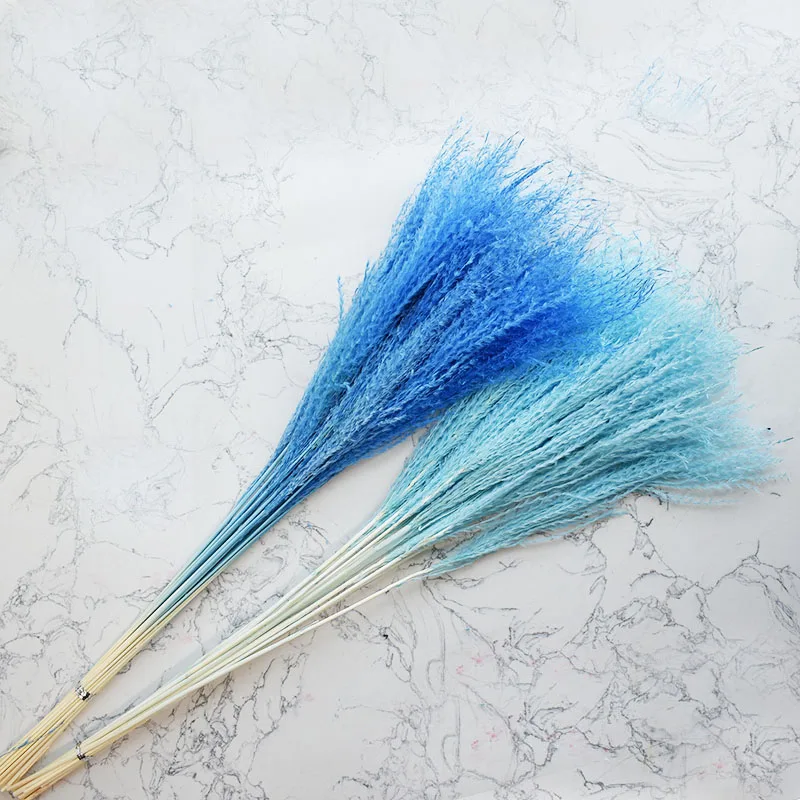 Natural Pampas Grass Dried Flowers Wedding Decoration Small Pampa Grass Natural Pampas Grass  decorative for outdoor decor