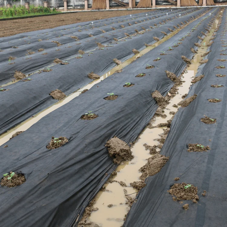 greenhouse winter biodegradable agricultural 100%pp nonwoven fabric film weed mat control plant freeze  protection cover mulch