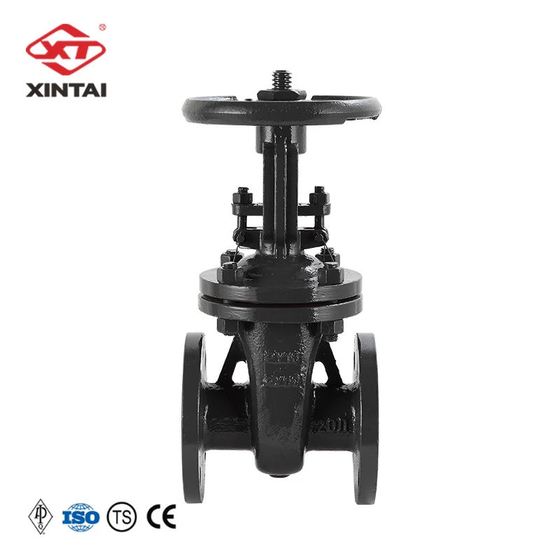 customizable GOST Gate valve Z41H-16C  Reduced diameter DN50 Cost-effective