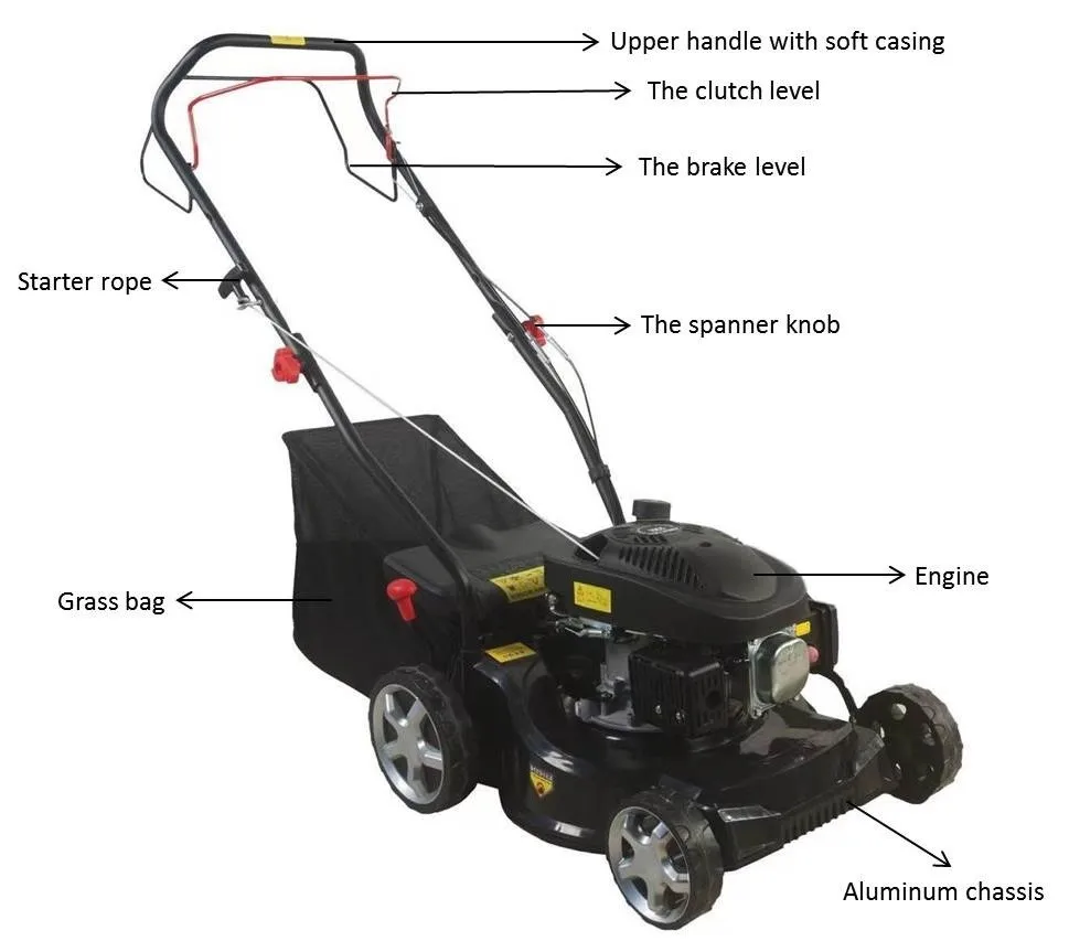 TEAMMAX CE 79.8cc 4-stroke gasoline self-propelled lawn mower