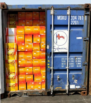 
New Aule High Sugar Instant Dry Yeast 