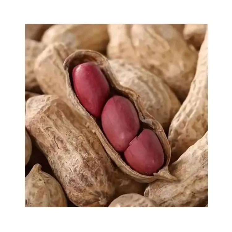 High Quality Non-GMO Raw Organic Raw Without Shell Groundnut Peanut Kernel