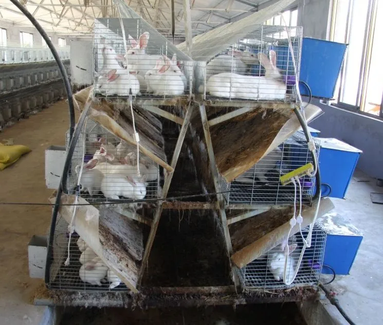 Mesh Wire Farming Rabbit Cage in Kenya Farm for Hot Sale