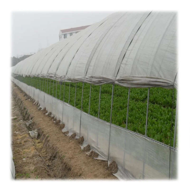 Film Covered Tunnel Greenhouse with Hot-dip galvanized Pipes for fastening Vegetables and Melons Grow