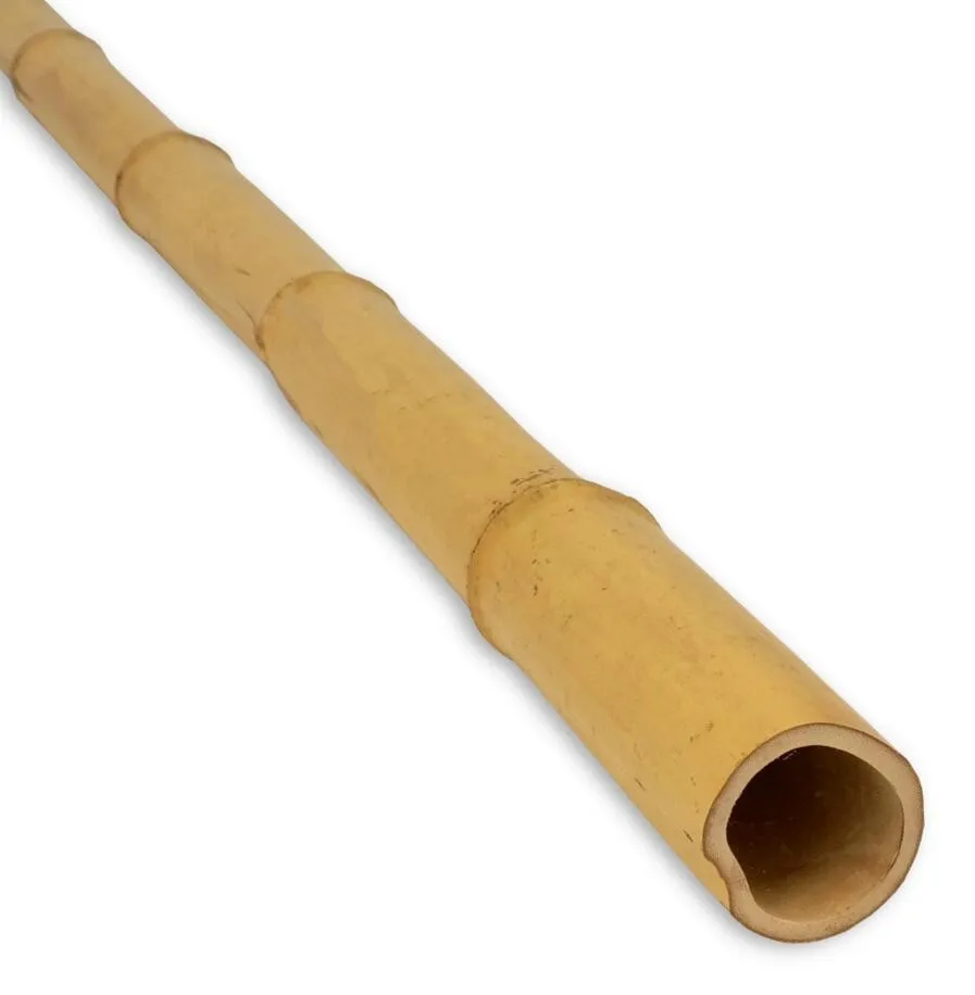 Bamboo Cane Big Pole Natural Straight Agriculture Cheap Raw Bamboo  Plant Support 12