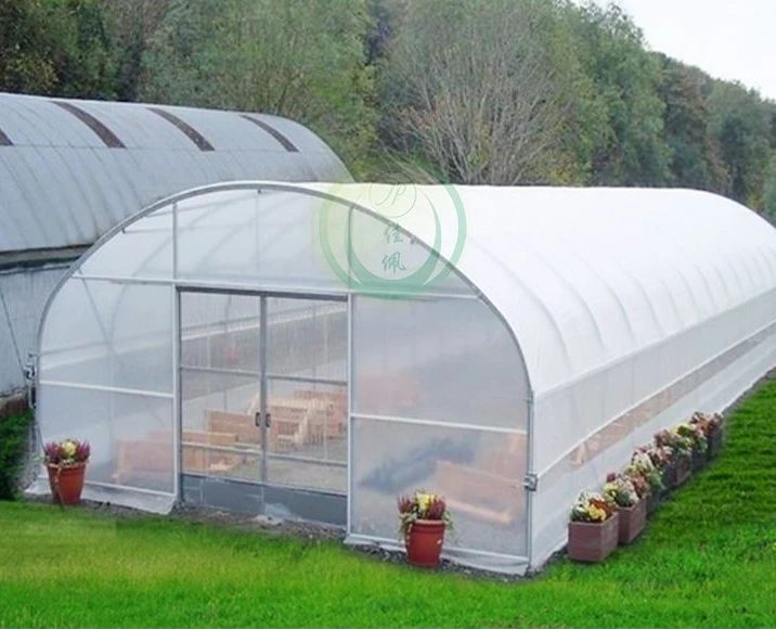 low tunnel greenhouse high strength commercial agricultural poly tunnel single-span green house tomato greenhouse For Sale