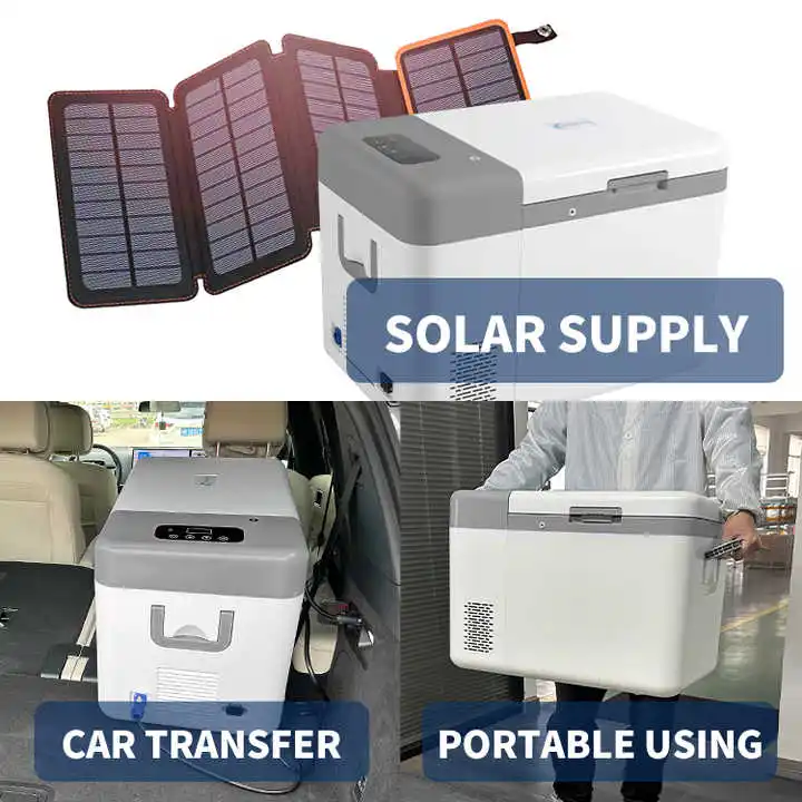 Portable Low Temperature 25L  Mini Ultra Low With  Control Temperature fridge Seafood Storage Freezer 110/220V