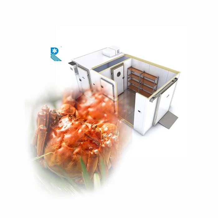 Chicken freezer storage room, cold room data logger, cold freezer room for meat and poultry