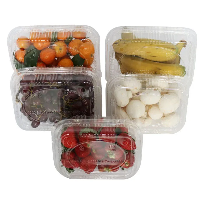 
biodegradable pla clam shell blueberry fruit container 