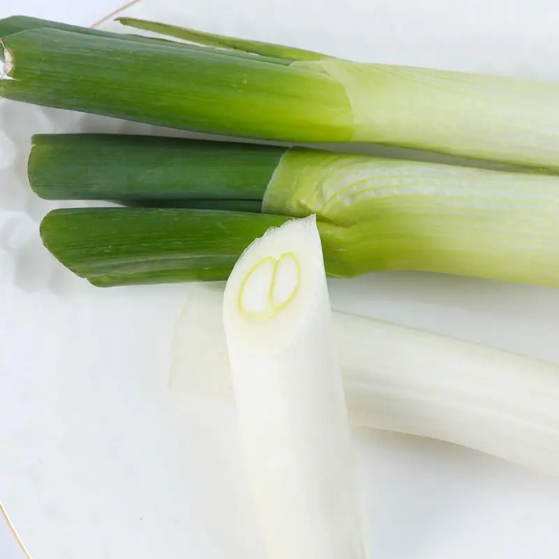 KWS China exporter green scallions green fresh onion