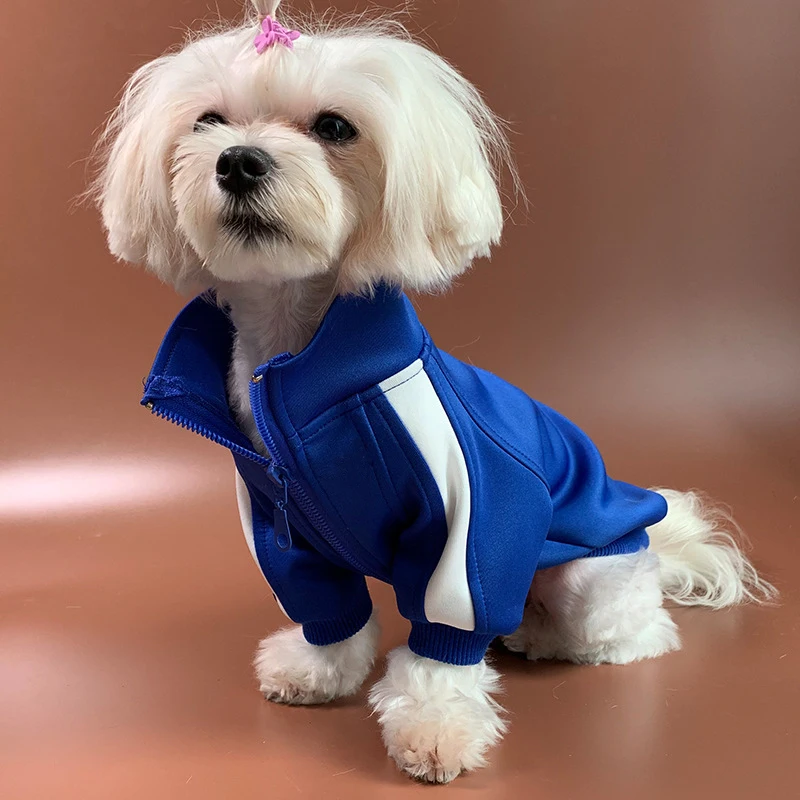 GMTPET Pet Apparel Factory OEM Custom Logo Fashion Dog Bomber Jacket Blank Dog Clothes Sport Pet Clothes