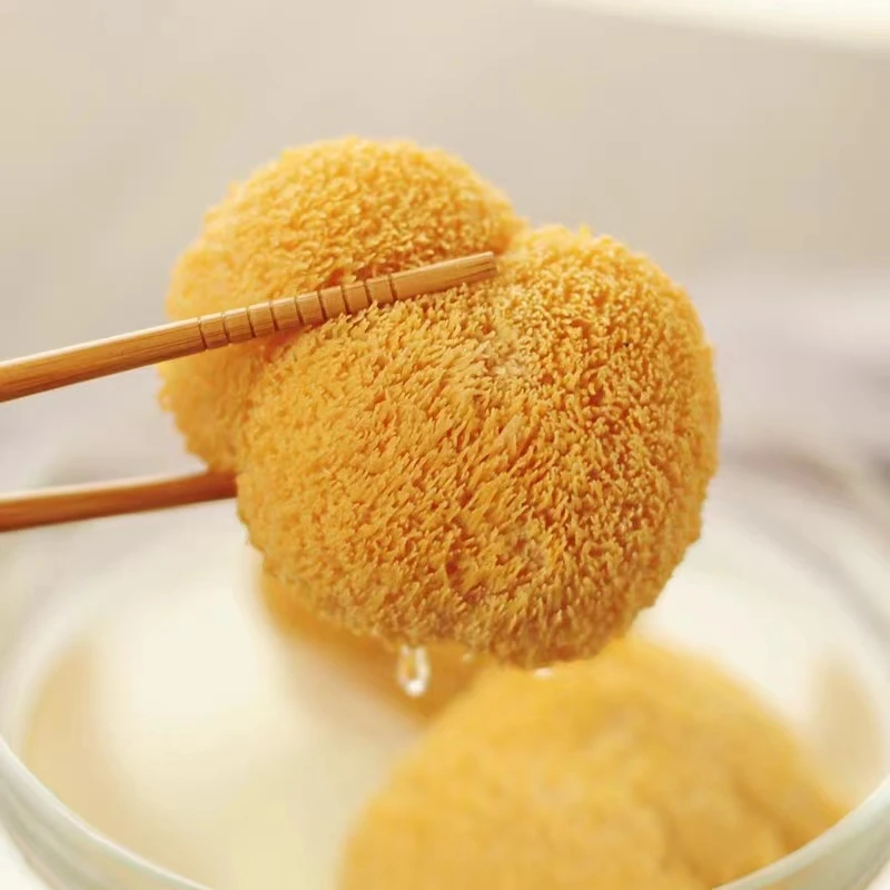 DETAN export dried organic lions mane