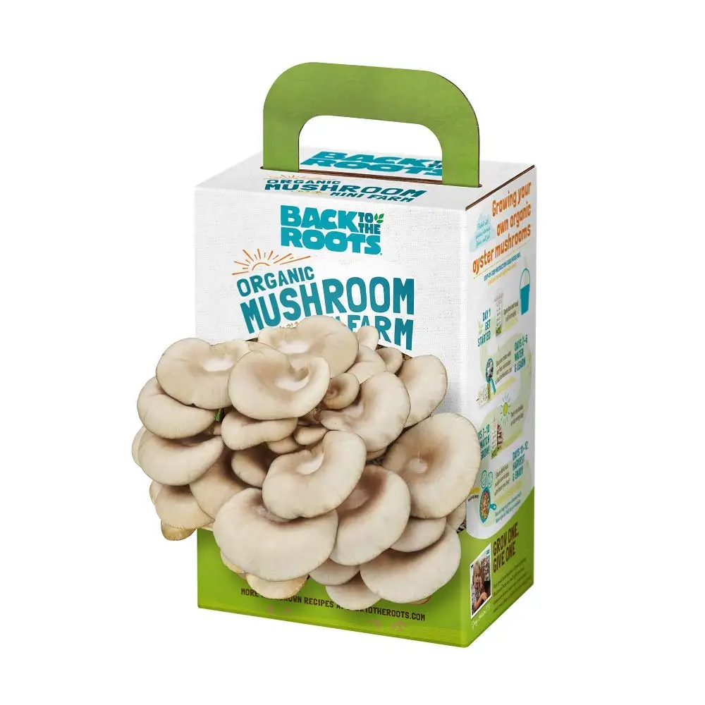 Back to Roots Organic Oyster Mushroom Grow Kit Fresh Plant Grower Kit Plant Growing Kit