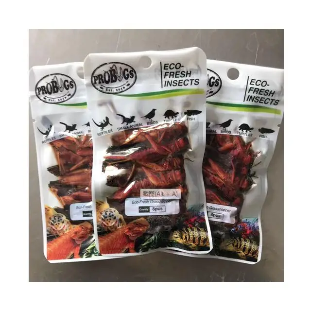 Eco fresh Grasshopper Locust Edible Insect Animal Feed Pet Food
